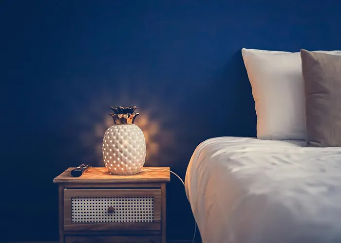 Dom wakacyjny Chaleureux Logement-centre Ville-proche Gare-plage *